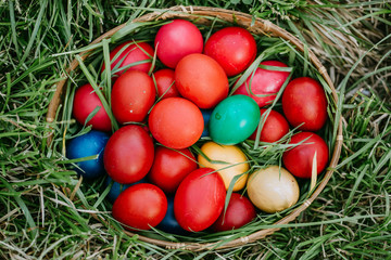 Easter eggs in a basket on grass