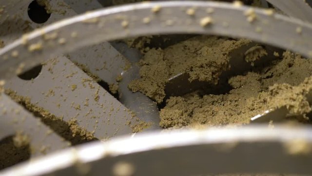 South of Italy- crusher turning making olive oil