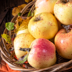 fresh and tasty organic apples in a basket