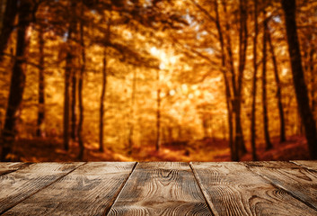 Autumn background, close up of old empty wooden table over the defocused forest with copy space