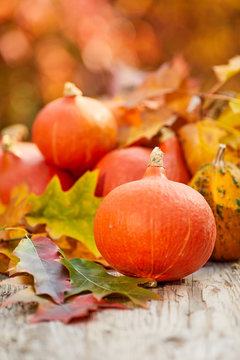 Autumn pumpkins on wood with abstract fall leaves background