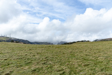 戦場ヶ原　長野　山梨　北海道　美瑛　高山　新潟　美しい　日本　男女　徒歩