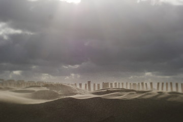 Plage de Calais - France