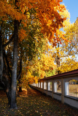 Jesień w parku Branickich, Polska, Podlasie, Białystok © podlaski49