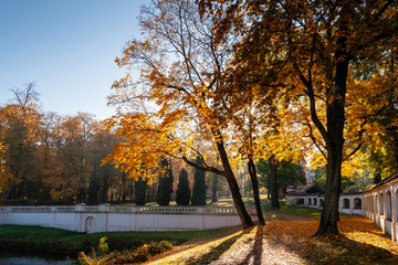 Jesień w parku Branickich, Polska, Podlasie, Białystok © podlaski49