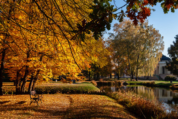 Jesień w parku Branickich, Polska, Podlasie, Białystok © podlaski49