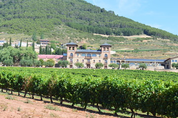 Vignobles de la Rioja