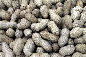 Rich fresh peanuts stacked ready to peel and eat