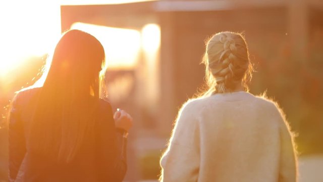 Rear view two women friends go away to sunset