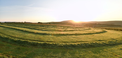 Freshly mowed field at sunset