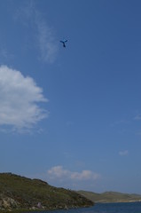 mongolia 5
