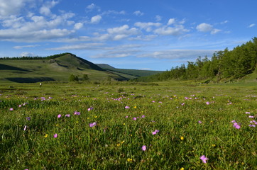 mongolia 6