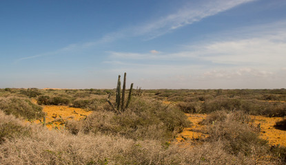 northeastern part of Colombia, cabo de la vela, la guajira, punta gallinas