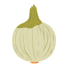 white background with realistic onion in closeup