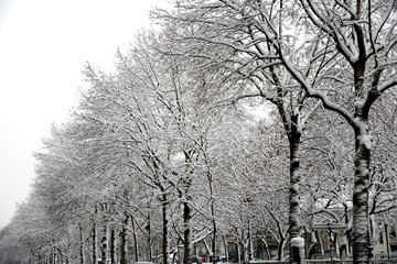 Paris sous la neige 2018