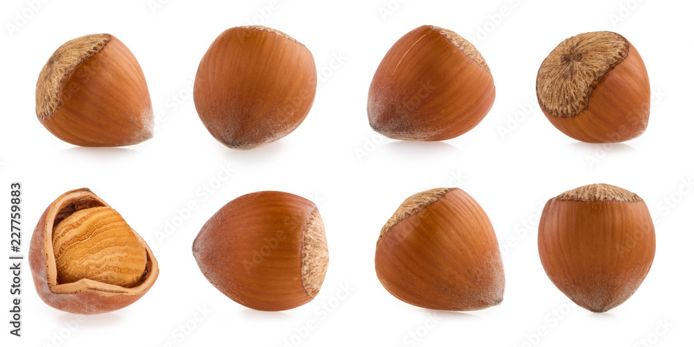 Wall mural Hazelnuts isolated on white background