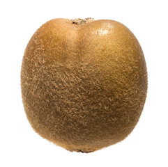 kiwi fruit isolated on white background