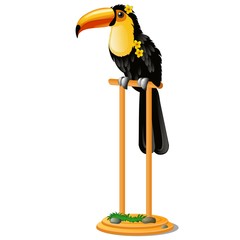 Beautiful bird toucan sitting on a wooden perch isolated on white background. Vector cartoon close-up illustration. © Lady-Luck