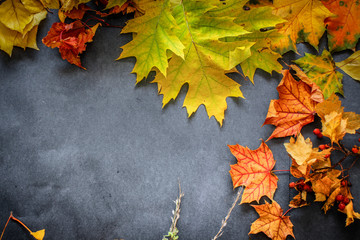 Autumn still life of leaves on the eve of Halloween.