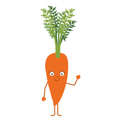 white background with carrot cartoon