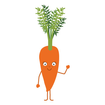 white background with carrot cartoon