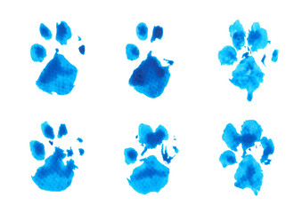 set of blue dog's footprint watercolor on white background - 227762086