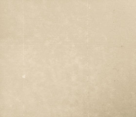 Paper Texture Background