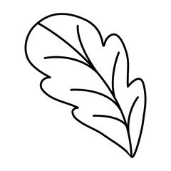 black silhouette of leaf front view of beet