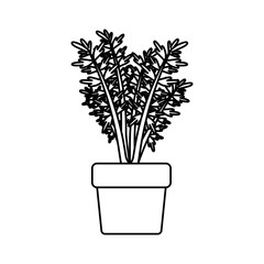 Fototapeta na wymiar black silhouette of carrot plant in flower pot