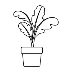 black silhouette of beet plant in flower pot