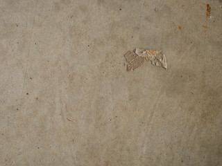 marble wall background,concrete floor texture,dirty cement