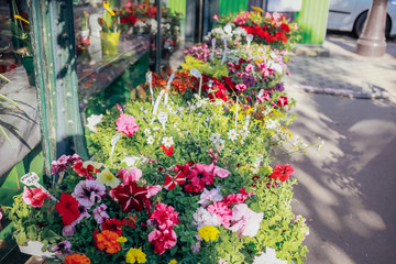 Fototapeta na wymiar flower shop on the street of Paris