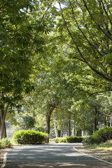 府中の森公園（東京都府中市）