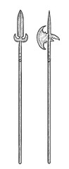 Spears illustration, drawing, engraving, ink, line art, vector