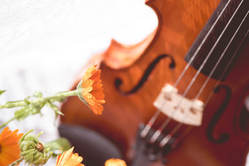 Bottom half blurred of a violin with sheet music and flowers the front from above