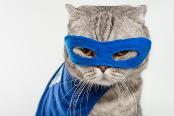 superhero, scotch whiskey with a blue cloak and mask. The concept of a superhero, super cat,...