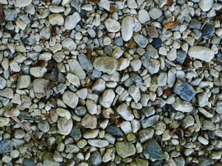 rock,stone in garden,pebbles on the beach