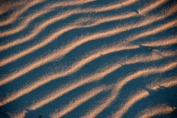 Ripples on warm sand