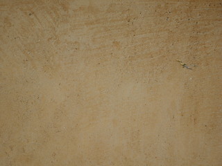 vintage concrete wall,texture cement floor