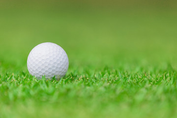 Close up of Golf ball on the green grass