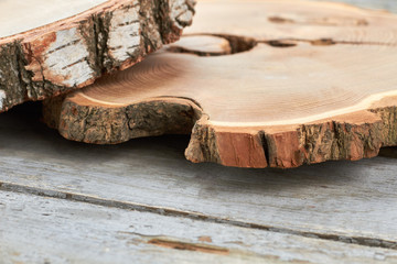 Wooden slices with bark. Piece of natural tree. Large wood slices for centerpieces.