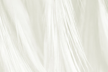 Obraz premium Beautiful white feather pattern texture background