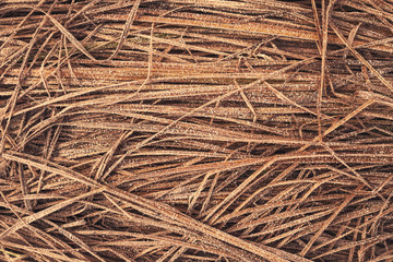 Abstract natural background of dry grass covered with hoarfrost