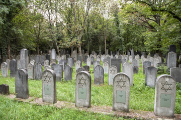 Grabanlagen auf dem Zentralfriedhof in Wien