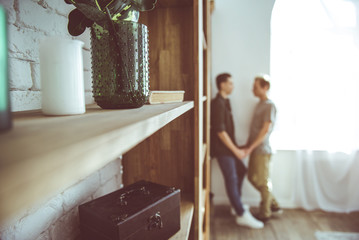 Fototapeta na wymiar Close up of wooden shelves with houseplant in vase, book and box. Gay couple holding hands while standing near window