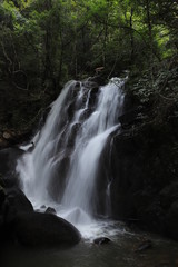 Fototapeta na wymiar 鶏鳴の滝