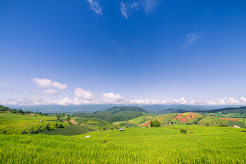 Fototapeta premium Small house and rice terraces field at pabongpaing village rice terraces Mae-Jam Chiang mai, Thailand