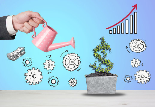 Top view Investment is like planting trees. Take care it will provide a good growth on colorful background.Watering can and money tree drawn concept for business investment, savings and making money.
