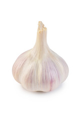 Fresh garlic closeup isolated on white background