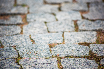Uneven paving stones with grass, soft focus